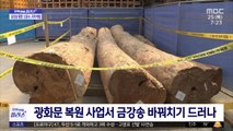 [문화연예 플러스] '금강송 횡령' 신응수 대목장, 무형문화재 자격 박탈