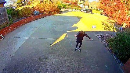 15 Wholesome Doorbell Camera Clips