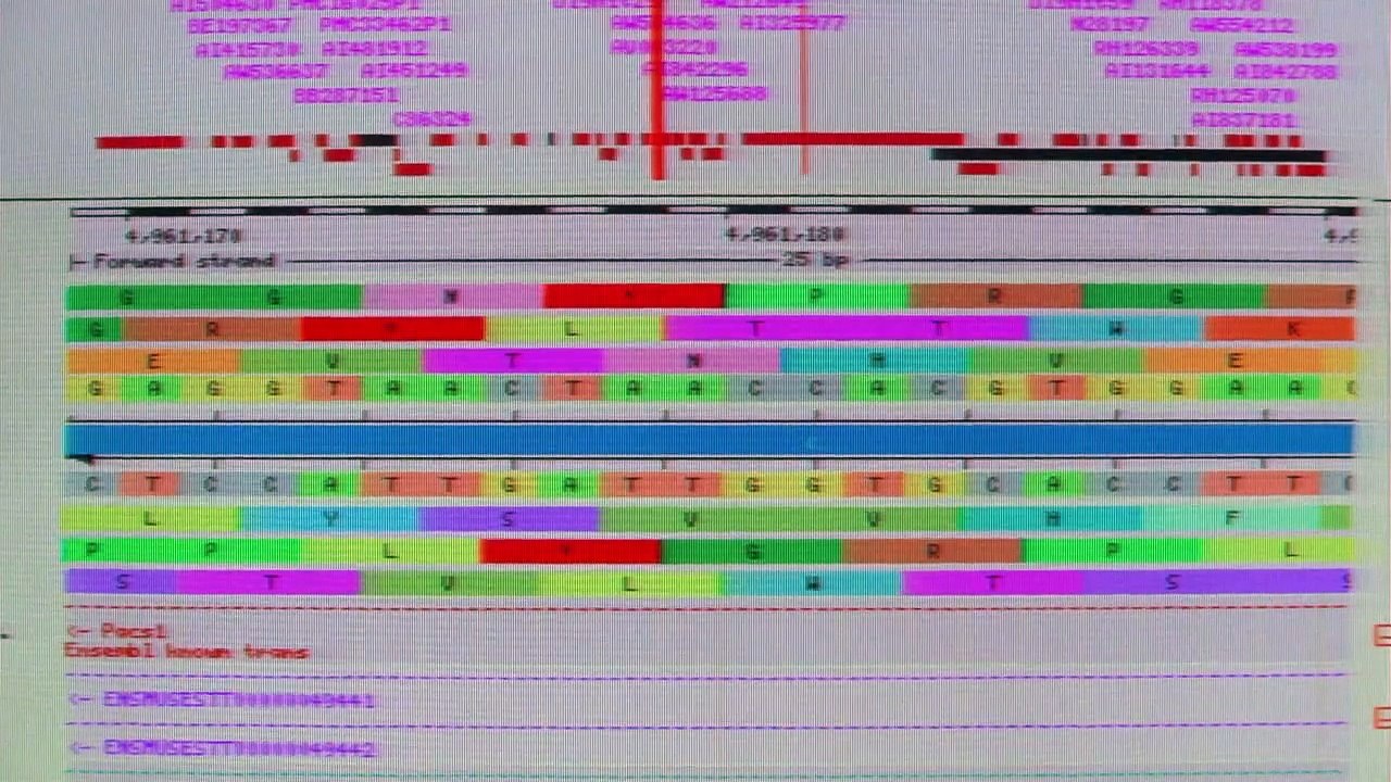 ReGenesis Staffel 2 Folge 9 HD Deutsch