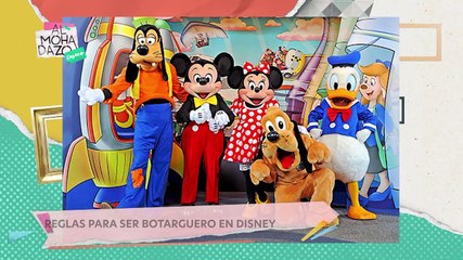 Las reglas en Disney para ser botarguero - Almohadazo Casero