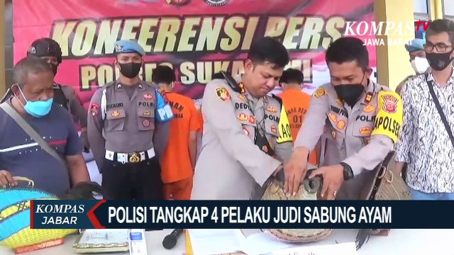 Polisi Tangkap 4 Pelaku Judi Sabung Ayam