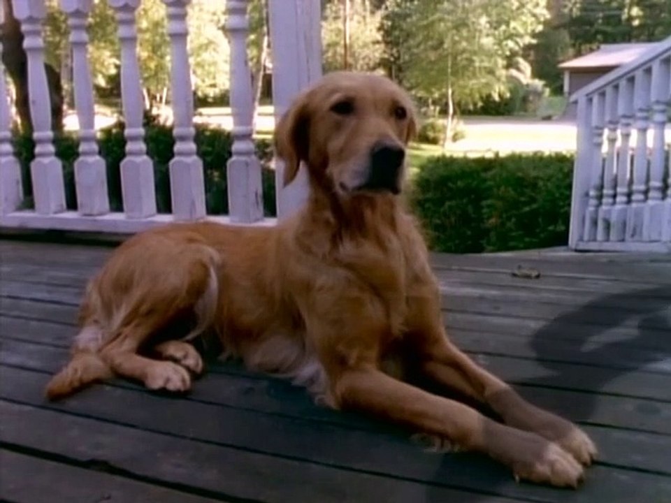 Gänsehaut - Die Stunde der Geister Staffel 2 Folge 25 HD Deutsch