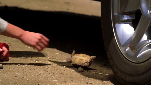 Terminator; The Sarah Connor Chronicles Staffel 2 Folge 9 HD Deutsch