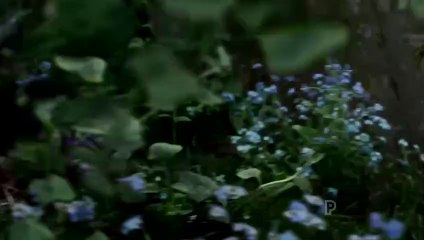 Emmerdale 23rd August 2022