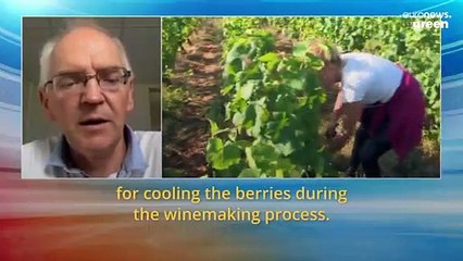Climate change is making French wine production harder, more expensive and boozier