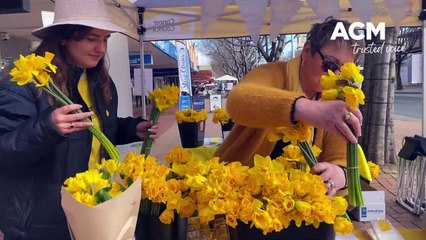 Daffodil Day | 25 August 2022 | The Border Mail