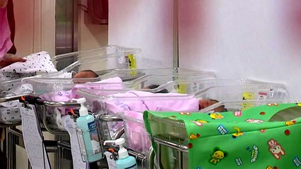 [더뉴스] 합계출산율 0.7명대...또 세계 꼴찌, 정부 대책은? / YTN