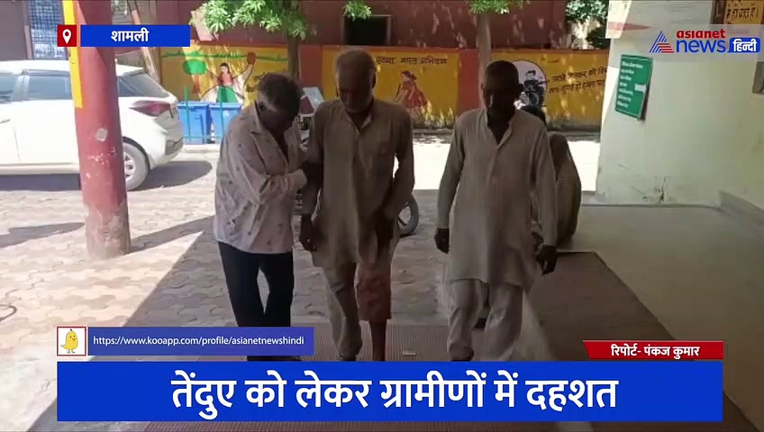 शामली: खेत में काम कर रहे किसान पर तेंदुए का हमला, ग्रामीणों ने सूझबूझ से ऐसे बचाई युवक की जान 