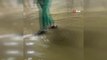 Son Dakika | Ege Üniversitesi Tıp Fakültesi Hastanesi'ndeki su baskınına dair yeni görüntüler ortaya çıktı