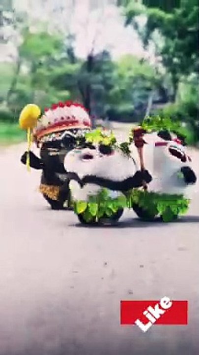 Very funny videos