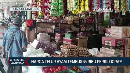 Mahal! Harga Telur Ayam Tembus 32 Ribu/Kg