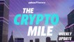 Doge retreats as rate hike fears stalk crypto market and Ethereum goes to Poland - The Crypto Mile Weekly Update