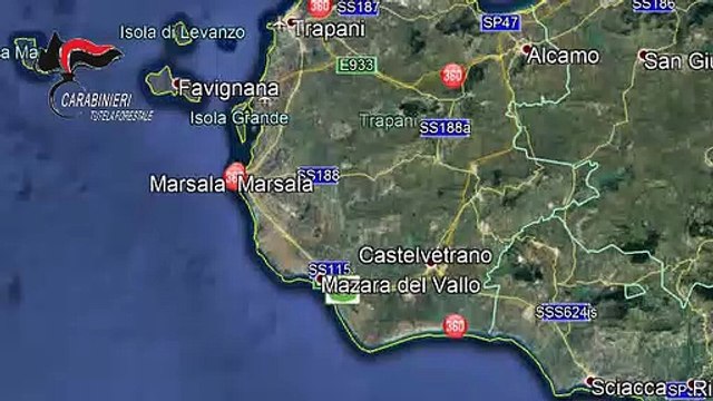 Marsala, uccidono una cicogna bianca: incastrati dalle telecamere