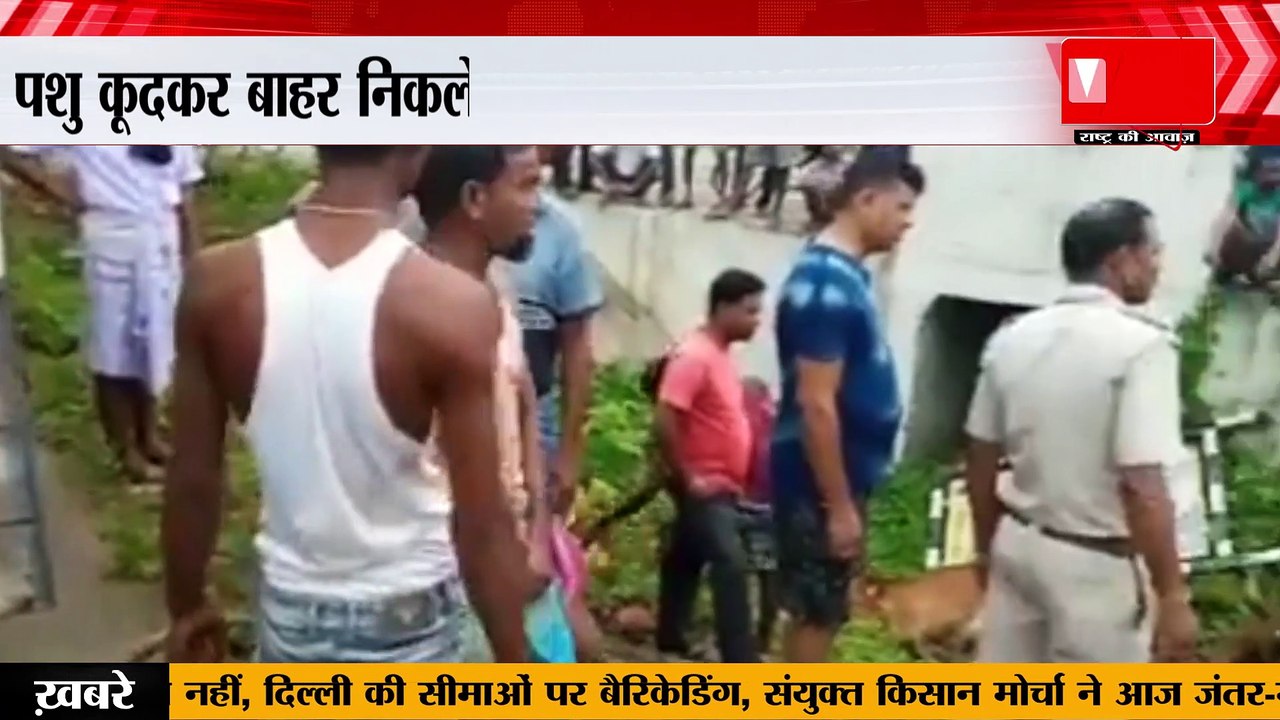West Bengal : बंगाल में गौ तस्करी का नया फार्मूला - सुवेंदु अधिकारी