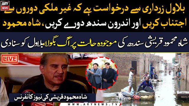 Shah Mahmood requests Bilawal to avoid foreign tours and visit interior Sindh