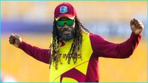 Chris Gayle యూనివర్సల్ బాస్ ఇక్కడ..వాళ్ళు జూజూబి *Cricket | Telugu OneIndia