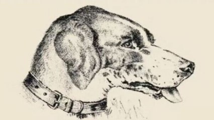 ഈ നായയുടെ ചിത്രത്തില്‍ ഒരാള്‍ മറഞ്ഞിരിക്കുന്നുണ്ട്