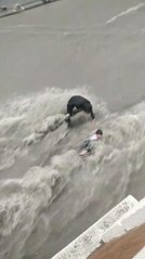 Son dakika haberi: ESENYURT'TA SELDE CAN PAZARI KAMERADA