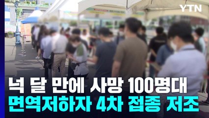 넉 달 만에 사망 100명 넘어...면역저하자 4차 접종 37% 그쳐 / YTN