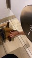 Service Dog Receives Unsolicited Bathroom Pets