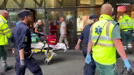 Rechte Schwedendemokraten im Aufwind: "Wollen Wachhund sein"