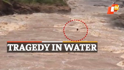 Live Rescue: Minor Boys Swept Away In Nagabali River Rescued, One Still Missing