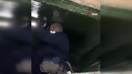 Bacaya sıkışan baykuşlar böyle kurtarıldı