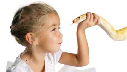 Toddler chews a snake to death in a fit of rage after it bit her lip