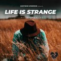 Orchestral Uplifiting (Instrumental) - Life Is Strange - Soothing Sparrow