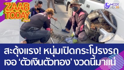 สะดุ้งแรง! หนุ่มเปิดกระโปรงรถเจอ 'ตัวเงินตัวทอง' สบตา เชื่อให้โชคงวดนี้! (25 ส.ค. 65) แซ่บทูเดย์