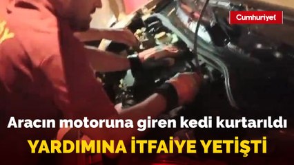 Aracın motor kısmına giren kedi kurtarıldı