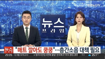 "매트 깔아도 쿵쿵"…층간소음 대책 필요