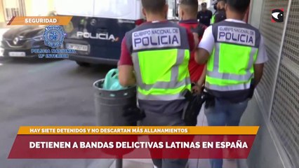 Detienen a bandas delictivas latinas en España