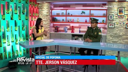 Continúa la búsqueda de los osos pukumaris en Palca, aclaran que están en su hábitat