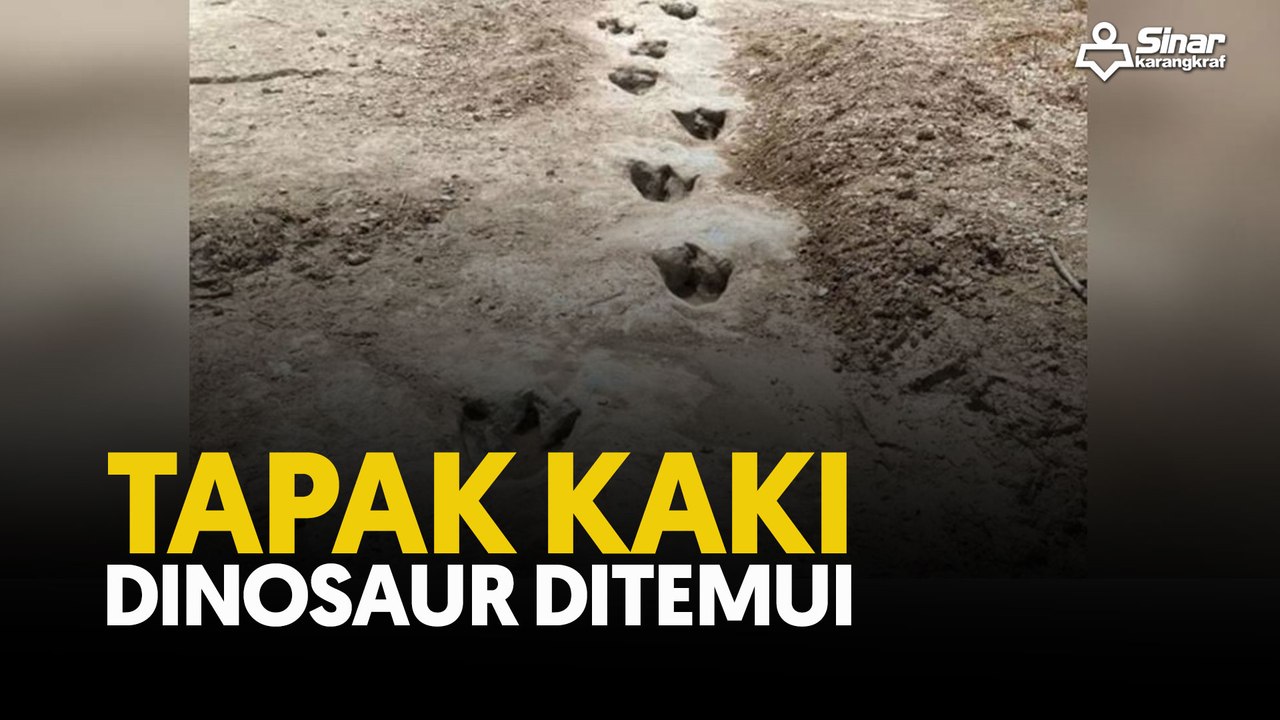 Tapak kaki dinosaur ditemui