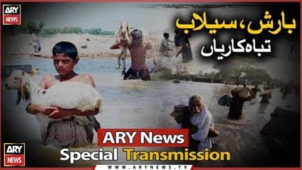 Flood Disasters in Pakistan | ARY News Special Transmission | 25th August 2022