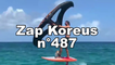Zap Koreus n°487