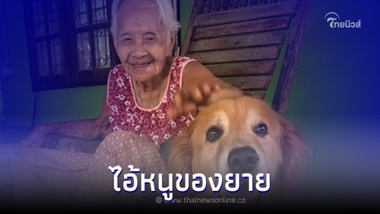 แฟนคลับเศร้าน้ำตานอง! "เจ้าลีโอ ไอ้หนูของยาย" จากไปอย่างสงบ ด้วย โรคมะเร็ง