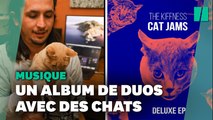 The Kiffness, musicien sud-africain, a créé un album entier de duos avec des chats