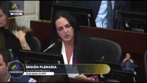 MARÍA FERNANDA CABAL CONTRA LA COMISIÓN DE LA «VERDAD»