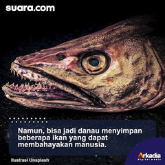 Ada-ada Aja! Dikira Ada Ikan Berbahaya di Danau, Endingnya Malah Bikin Salah Tingkah