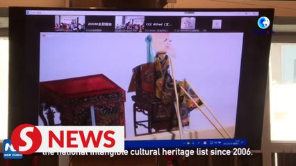 China, Malaysia hold online shadow puppetry workshop