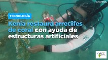 Kenia restaura arrecifes de coral con ayuda de estructuras artificiales