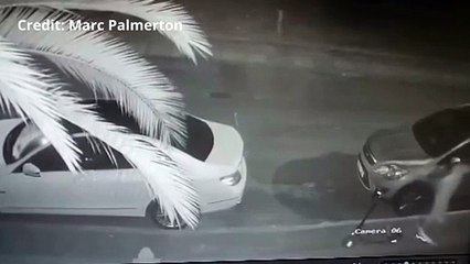 A person on an E-scooter stealing a cat kennel from a front garden