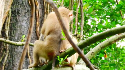 79=Where are you bb Rainbow I'm really miss you so much