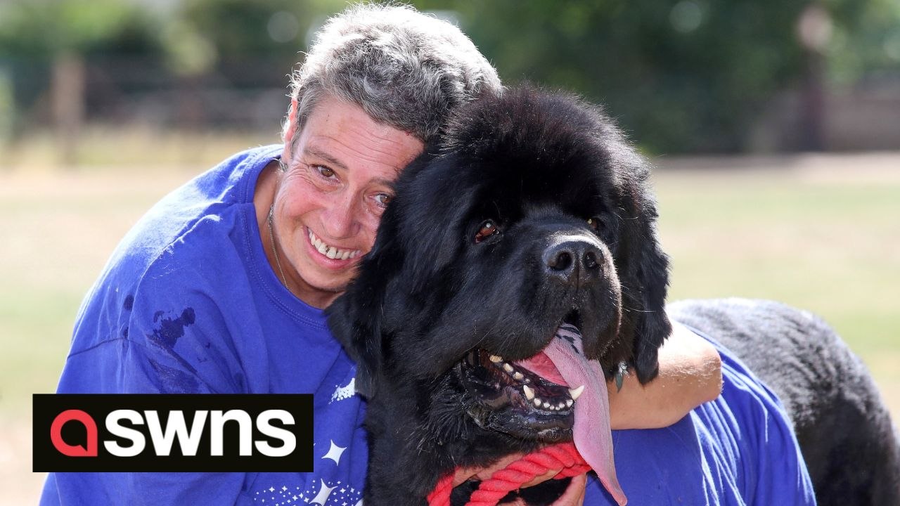 Woman says she owes her life to her rescue dog...