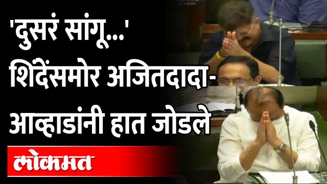 Pawar-Awhad Vs Eknath Shinde | एकनाथ शिंदेंनी अजित पवार आणि जितेंद्र आव्हाड दोघांनाही घेरलं