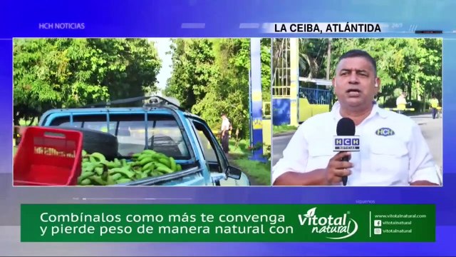 Clases normales en el CURLA, un joven asesinado, y otras noticias en La Ceiba