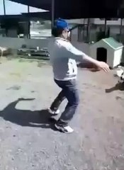 Mala idea desafiar a este perro con correa