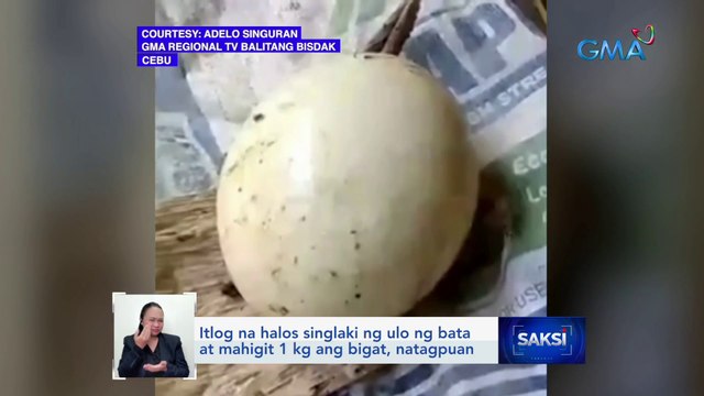 Itlog na halos singlaki ng ulo ng bata at mahigit 1 kg ang bigat, natagpuan | Saksi